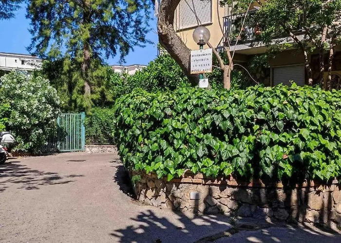 Amore - Sally アパート *